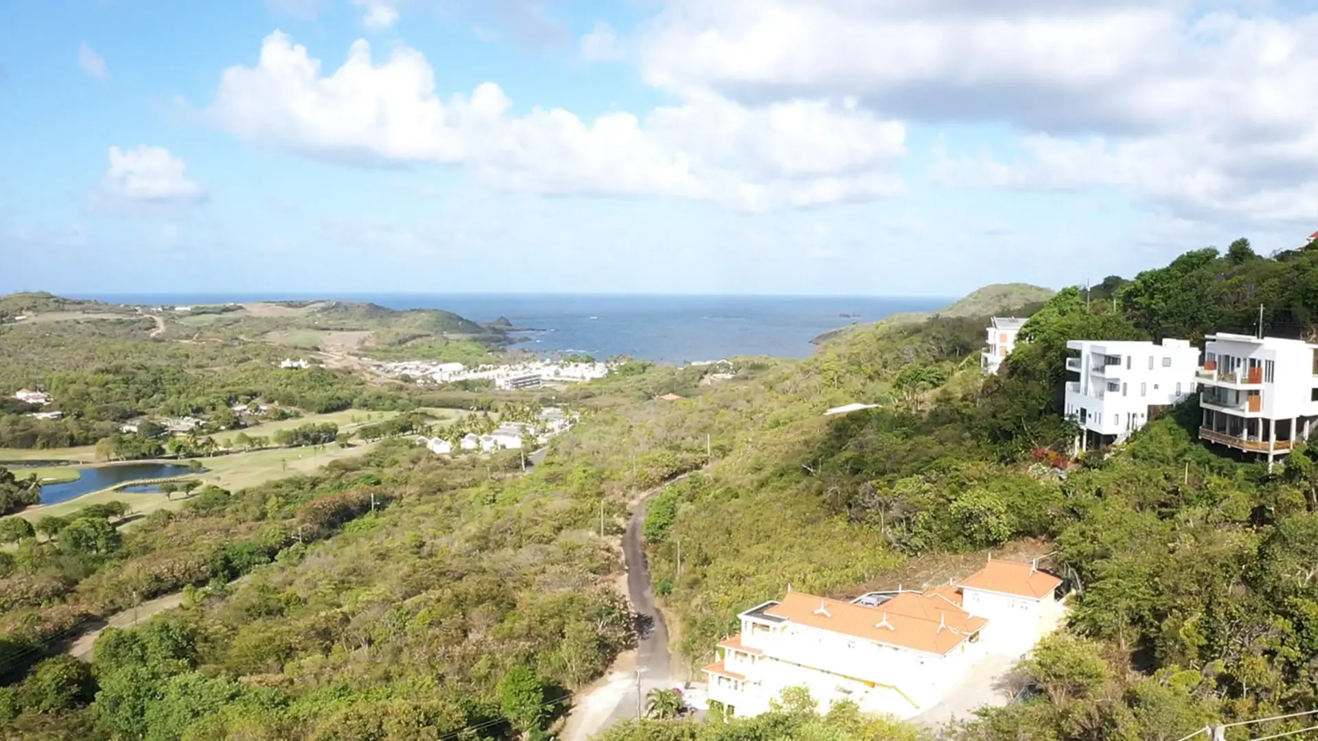 luxury homes for sale in st lucia mountain views