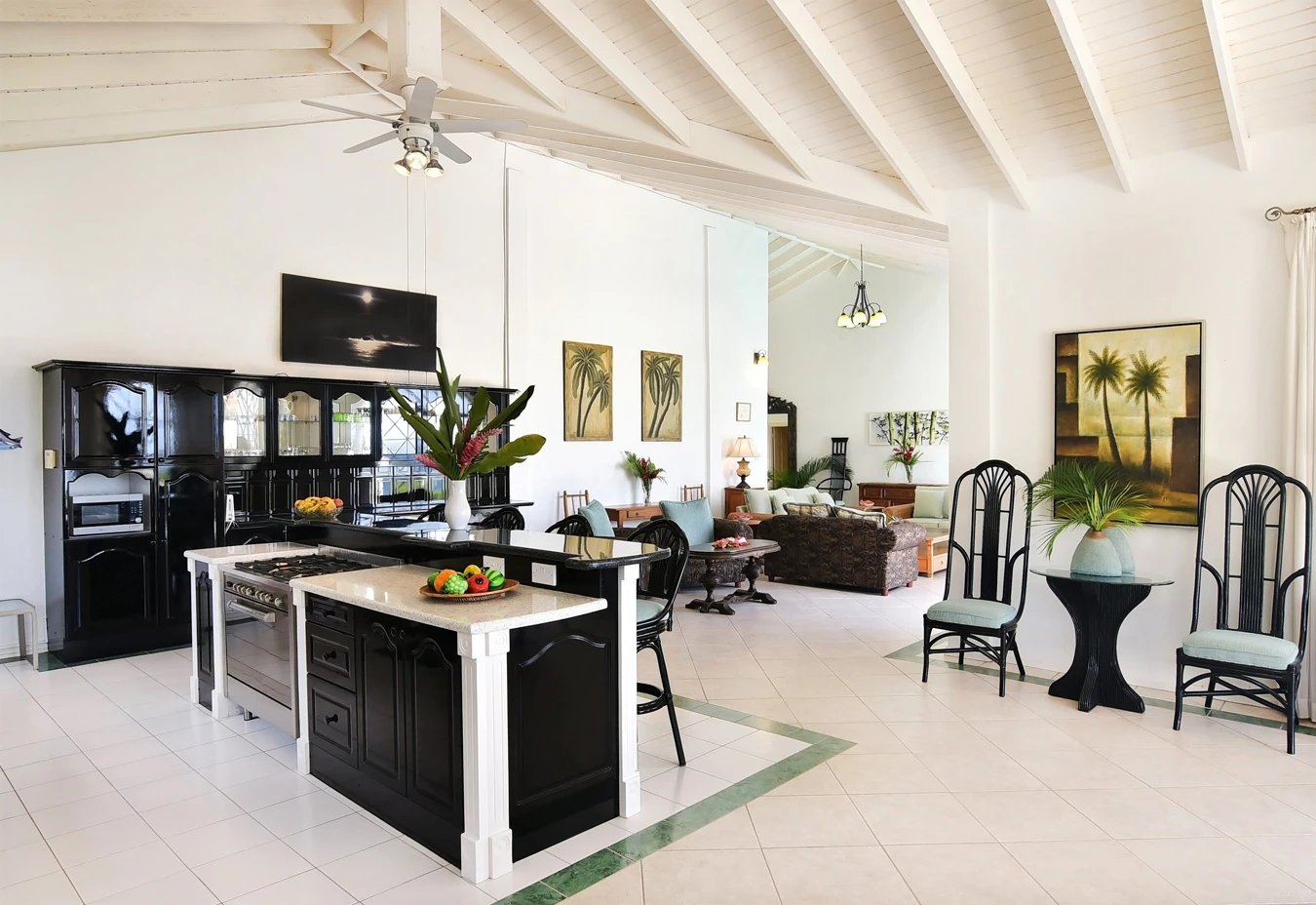 St. lucia real estate coco Villa kitchen