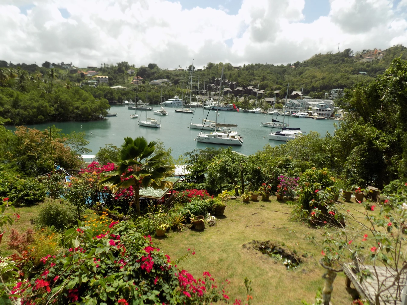 St. Lucia Real Estate Mango Beach Inn flowers